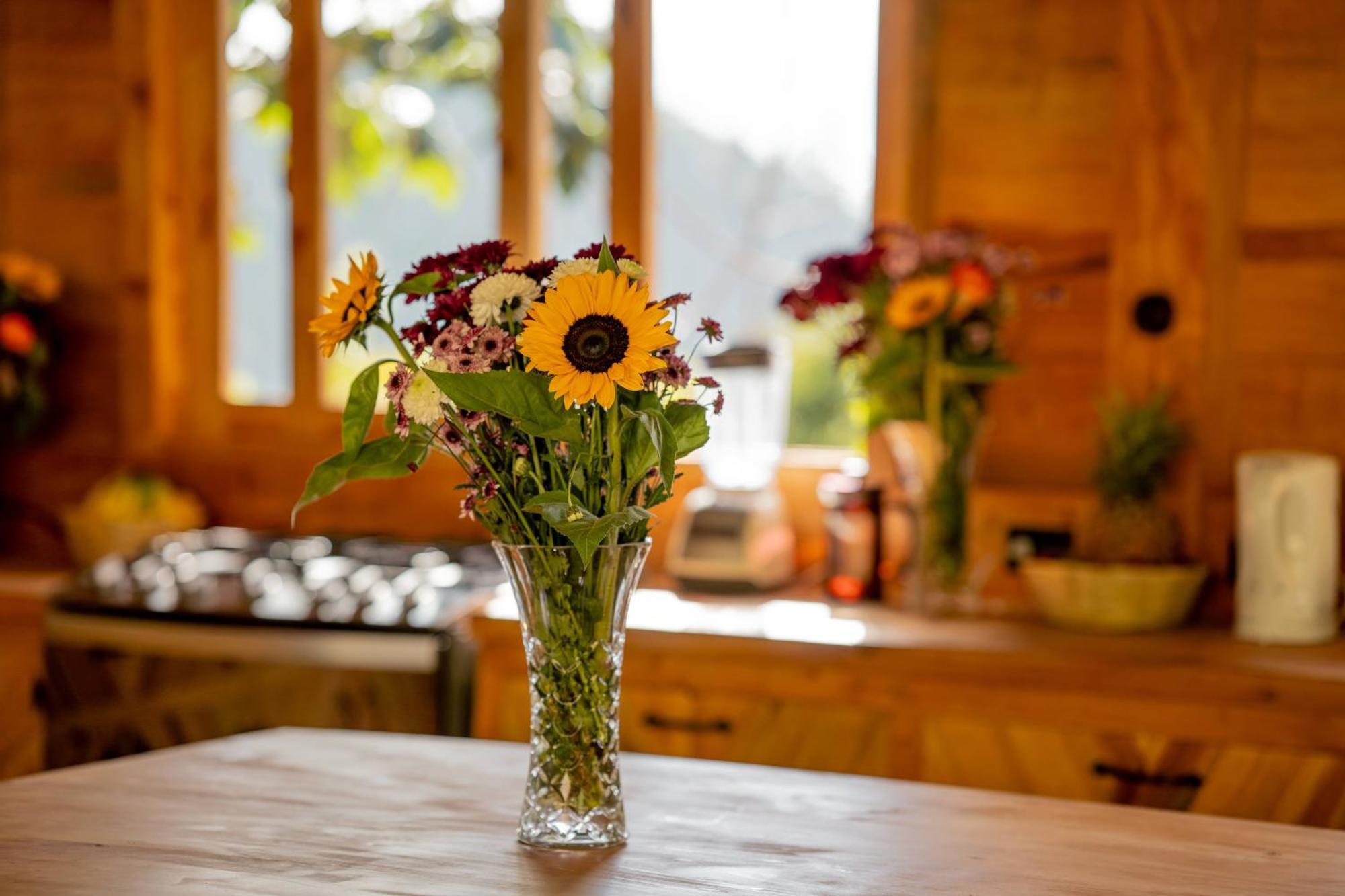 Fuego Atitlan Eco-Hotel San Marcos La Laguna Ngoại thất bức ảnh