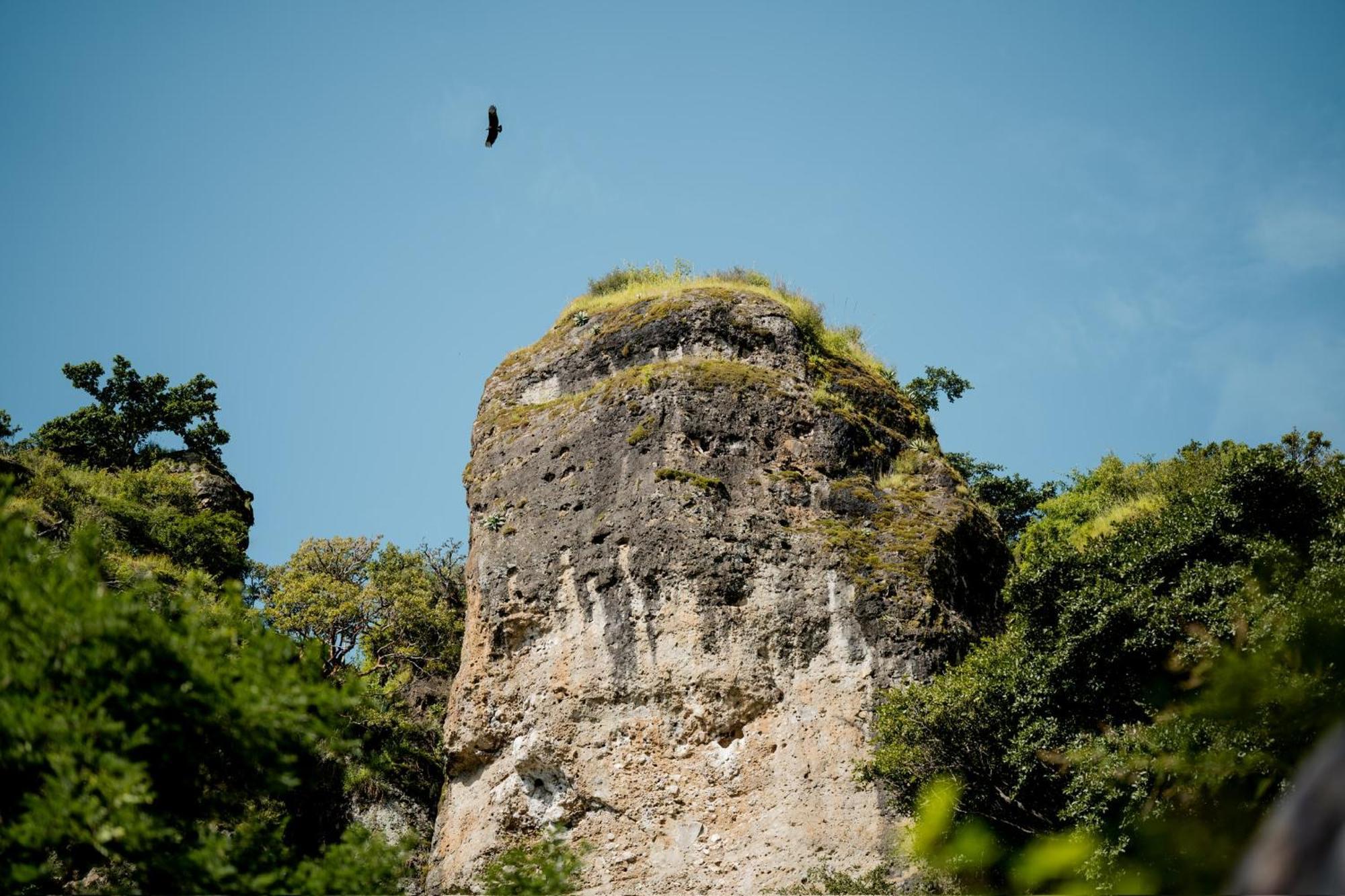 Fuego Atitlan Eco-Hotel San Marcos La Laguna Ngoại thất bức ảnh